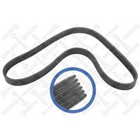 Ремень поликлиновой Ford Fiesta/Fusion 1.25-1.6 01- /Mondeo 1.6Ti 07- ,Mazda 2 03- 