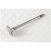 Клапан впускной Audi A4/A6/A8/Q7, VW Touareg 2.7TDi/3.0TDi BKN/BSG 04-