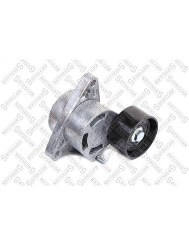 Ролик натяжной c мех-м натяж. 0340422SX Nissan Interstar/Primastar 2.2DCi/2.5DCi 02-