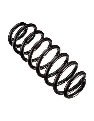 Пружина задняя к-кт BMW E39 2.0i-2.5TDs Touring 95- 