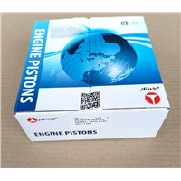 Поршень двигателя  СЕНС 1.3 d.75.00 с пальцами (PX-SEN-4G-4125-000)