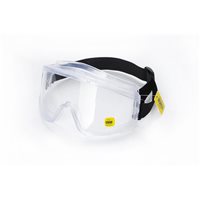 Очки защитные ФАРЕНГЕЙТ прозрачные (закрытого типа)