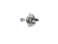 Лампа Zollex H4 12V 60/55W All weather (Yellow)
