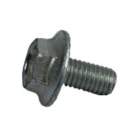 Болт М 5х10 задней двери с...